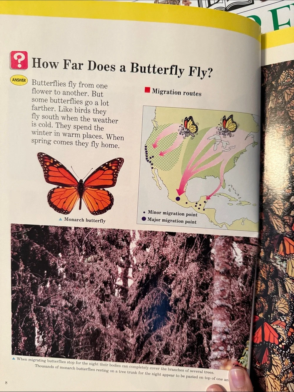 Children’s Reference Books - Insect World and Childrens World Encyclopedia.